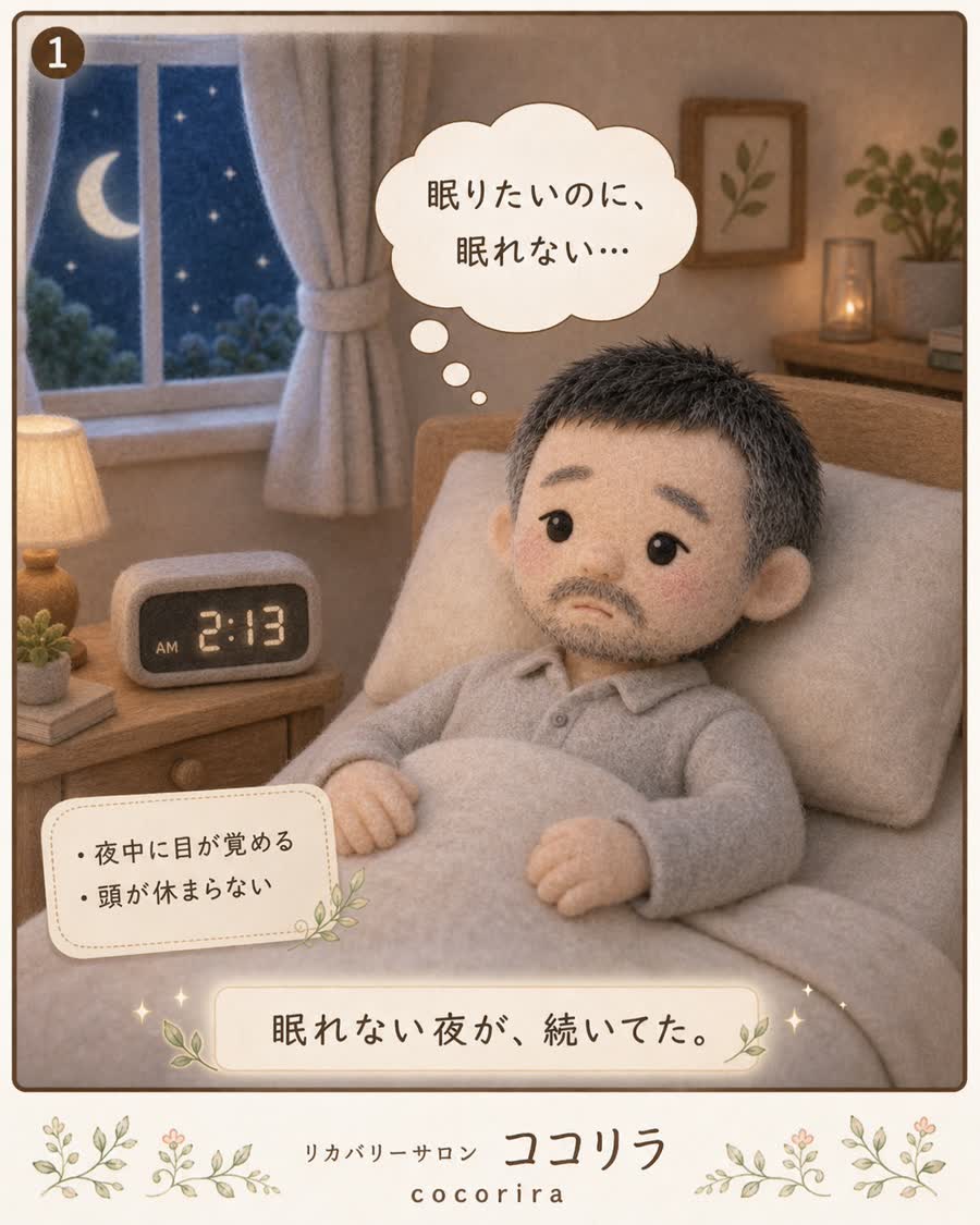 眠りたいのに、眠れない…眠れない夜が続いていた。